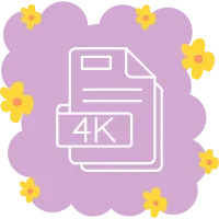 4k Icon