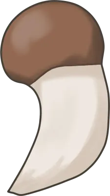 참송이 버섯