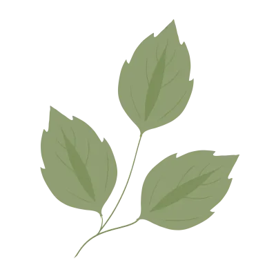 botanical leaves