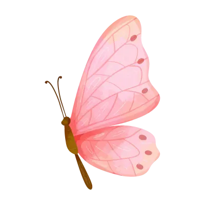 rose pink watercolor butterfly with spread wings in a flying pose.