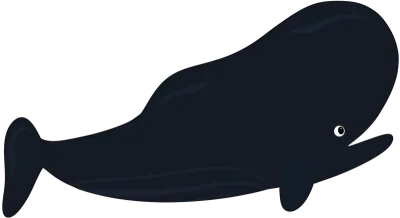 Cute Sperm Whale