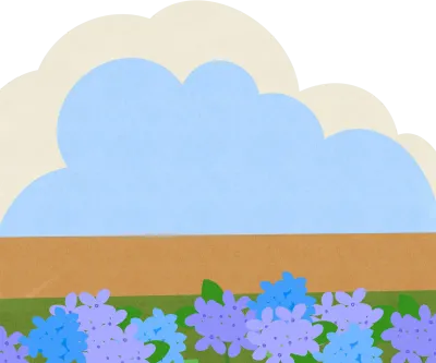 수국