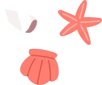 seashell_01