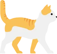 동물친구들