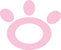 발바닥