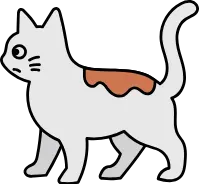 고양이