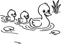 오리 가족