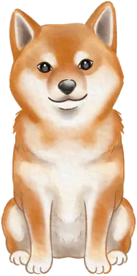 Shiba