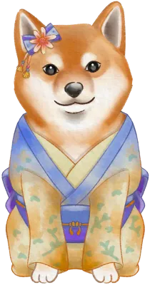 Kimono Shiba