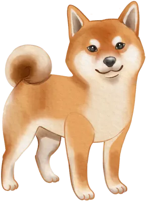 Shiba Cute Dog