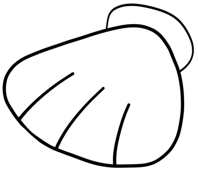 조개