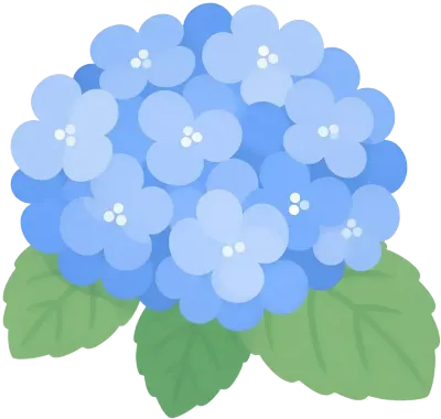 푸른색 수국