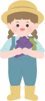 포도수확_03