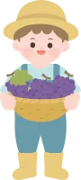 포도수확_01