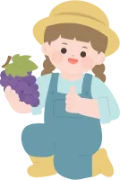 포도수확_04