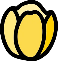 튤립