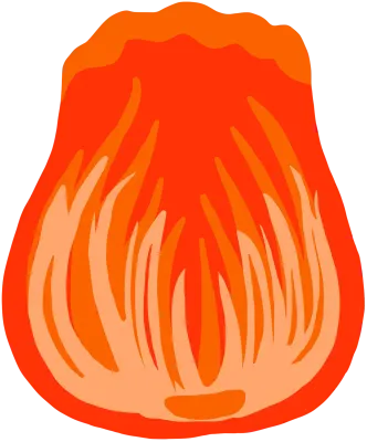 김치