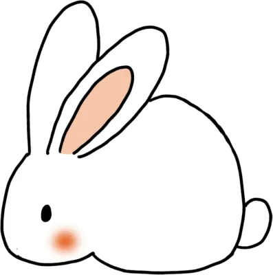 토끼6