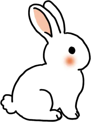 토끼8