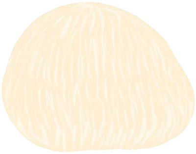 마카롱,크래커,목이버섯