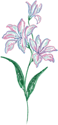 꽃 그림