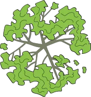 Top View Architectural Tree Illustration