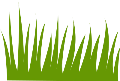 Green Grass Graphic Element