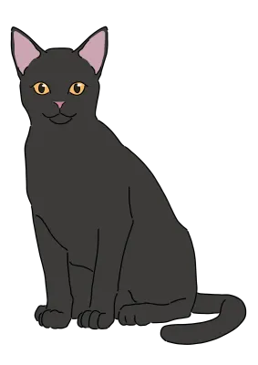 검은 고양이
