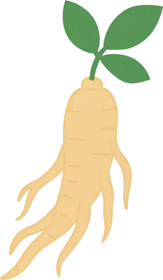 인삼