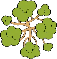 Hand drawn Top Down Tree Illustration