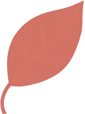 단풍잎