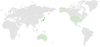 Flat World Map Vector