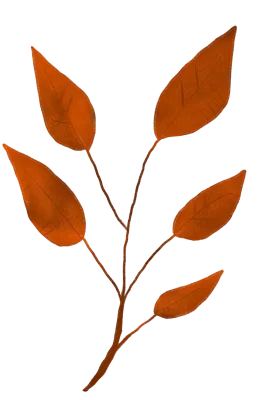 잎