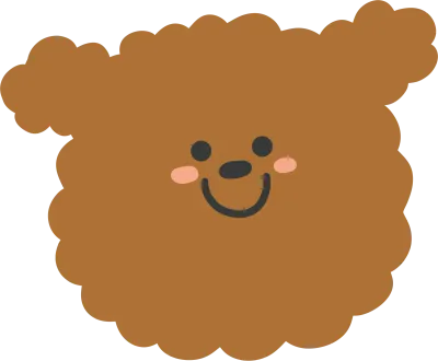 푸들 강아지