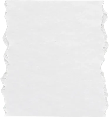 Torn Paper Texture