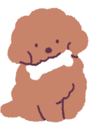 갈색 푸들 강아지