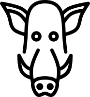 wild boar line icon