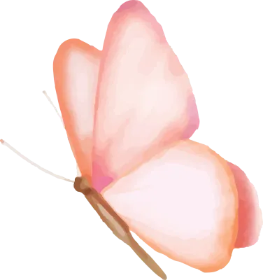 Beautiful Butterfly Vector