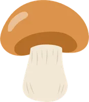 버섯