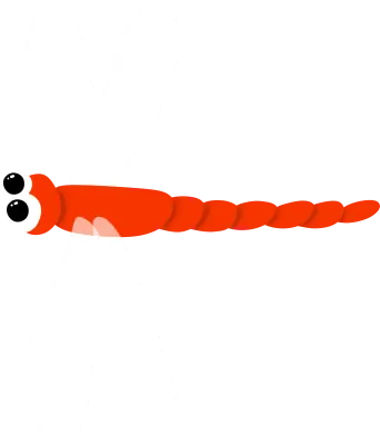 귀여운 잠자리