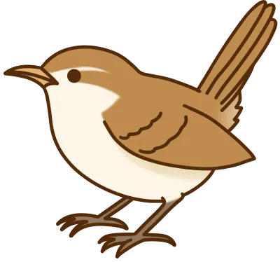 새