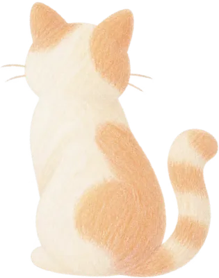 고양이 뒷모습