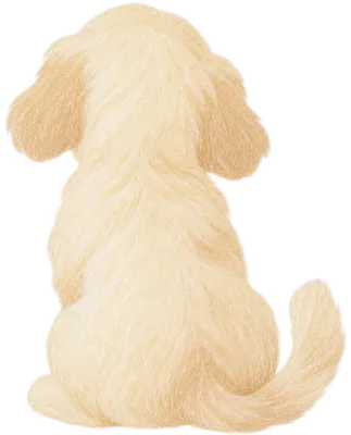 강아지 뒷모습