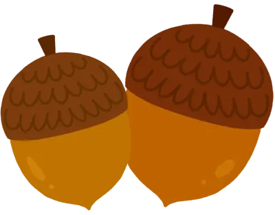 도토리