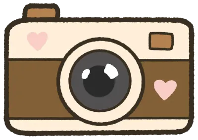Camera Stickers