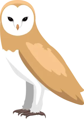 Barn Owl Standing Side