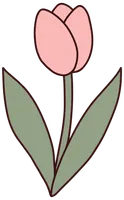 튤립