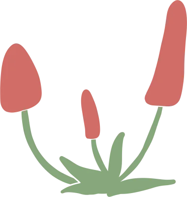 들꽃01