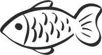 Fish side profile