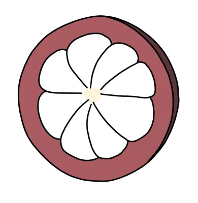 Fresh Mangosteen Slice Tropical Fruit Clipart Illustration